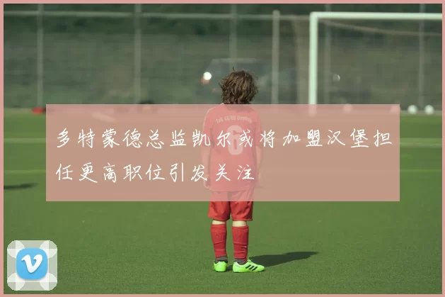 多特蒙德总监凯尔或将加盟汉堡担任更高职位引发关注